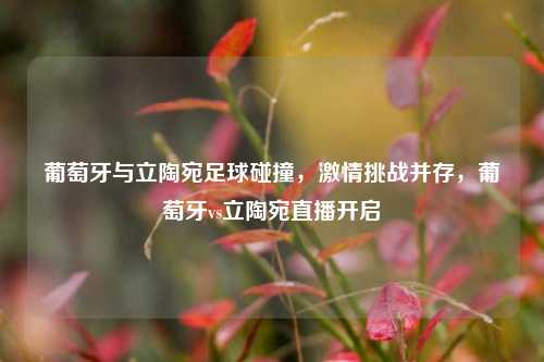葡萄牙与立陶宛足球碰撞，激情挑战并存，葡萄牙vs立陶宛直播开启