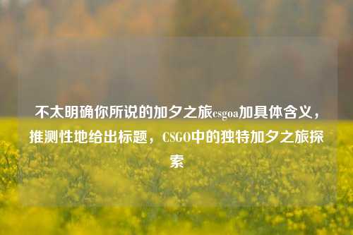 不太明确你所说的加夕之旅csgoa加具体含义，推测性地给出标题，CSGO中的独特加夕之旅探索
