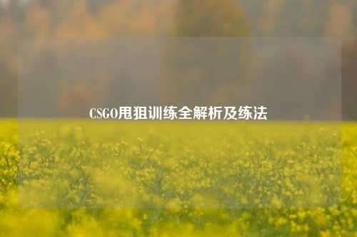 CSGO甩狙训练全解析及练法