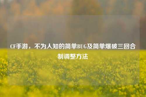 CF手游，不为人知的简单BUG及简单爆破三回合制调整方法