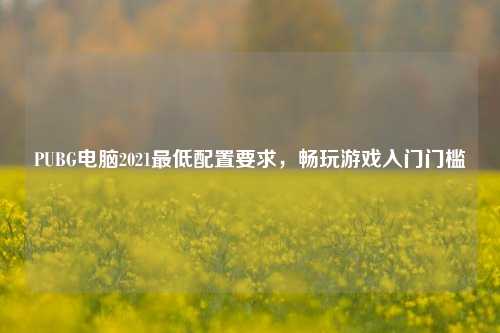 PUBG电脑2021最低配置要求，畅玩游戏入门门槛