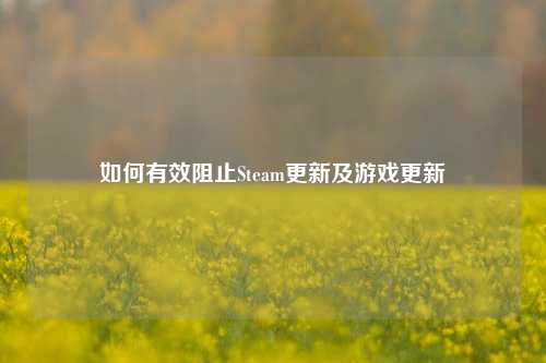 如何有效阻止Steam更新及游戏更新
