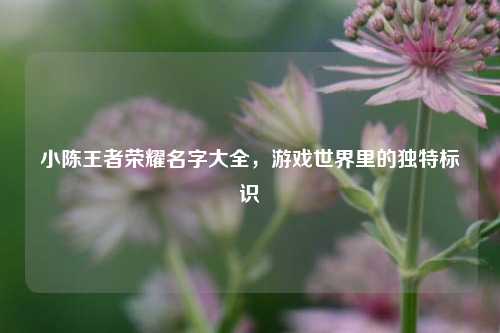 小陈王者荣耀名字大全，游戏世界里的独特标识