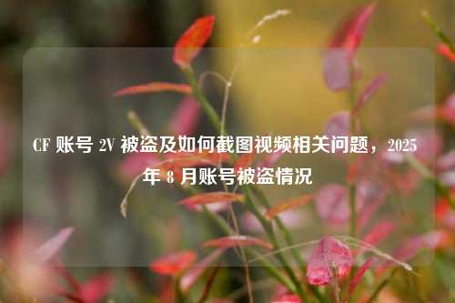 CF 账号 2V 被盗及如何截图视频相关问题，2025 年 8 月账号被盗情况