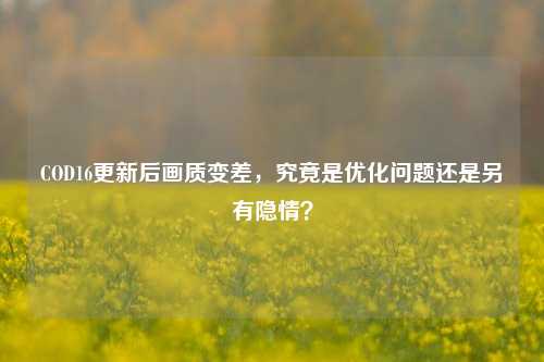 COD16更新后画质变差,究竟是优化问题还是另有隐情?