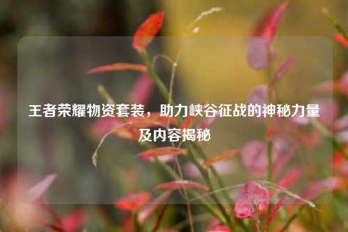 王者荣耀物资套装，助力峡谷征战的神秘力量及内容揭秘
