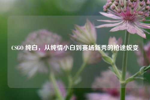 CSGO 纯白，从纯情小白到赛场新秀的枪途蜕变