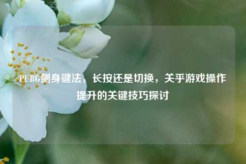 PUBG侧身键法，长按还是切换，关乎游戏操作提升的关键技巧探讨