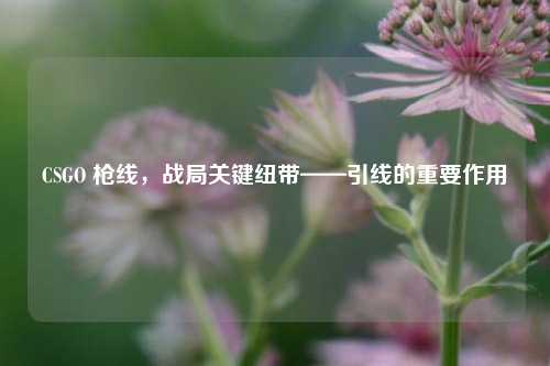 CSGO 枪线,战局关键纽带——引线的重要作用