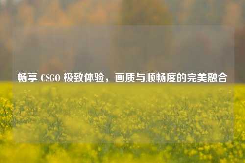 畅享 CSGO 极致体验，画质与顺畅度的完美融合