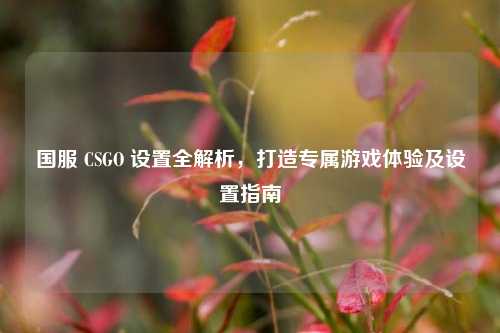 国服 CSGO 设置全解析，打造专属游戏体验及设置指南
