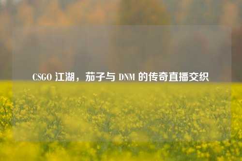 CSGO 江湖，茄子与 DNM 的传奇直播交织