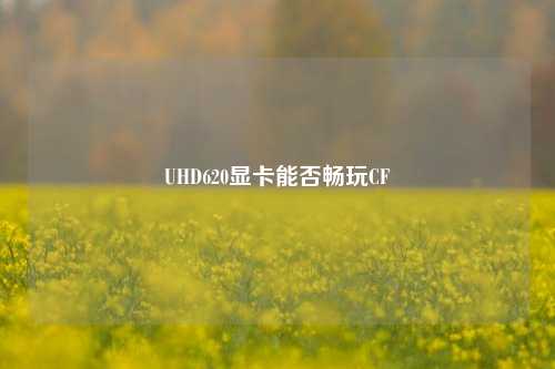 UHD620显卡能否畅玩CF