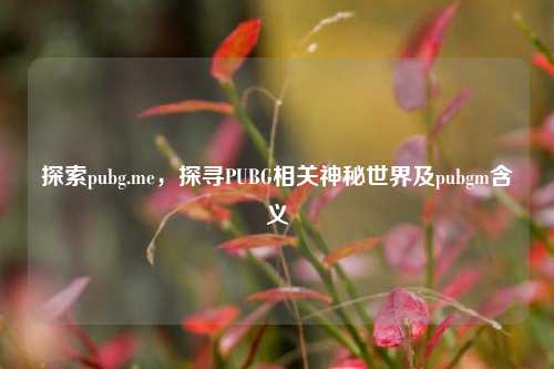 探索pubg.me，探寻PUBG相关神秘世界及pubgm含义
