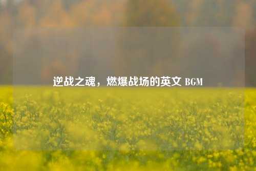 逆战之魂,燃爆战场的英文 BGM