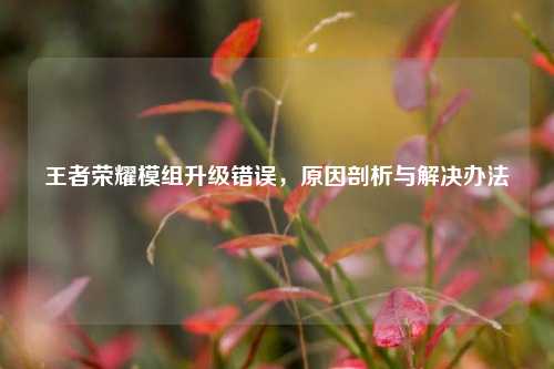 王者荣耀模组升级错误，原因剖析与解决办法