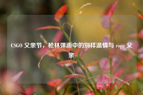 CSGO 父亲节，枪林弹雨中的别样温情与 ropz 父亲