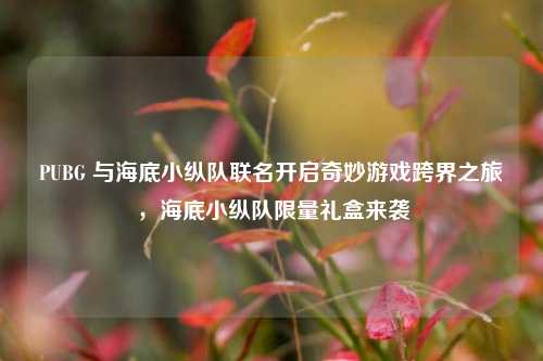 PUBG 与海底小纵队联名开启奇妙游戏跨界之旅,海底小纵队限量礼盒来袭