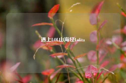 遇上LOL山海经Lolita