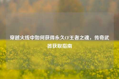 穿越火线中如何获得永久CF王者之魂,传奇武器获取指南