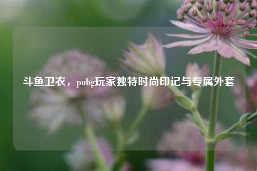 斗鱼卫衣，pubg玩家独特时尚印记与专属外套
