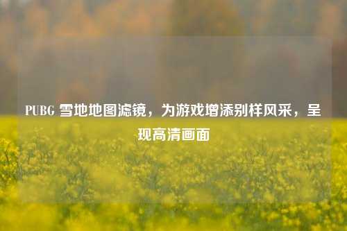 PUBG 雪地地图滤镜,为游戏增添别样风采,呈现高清画面