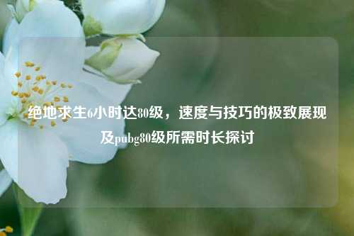 绝地求生6小时达80级,速度与技巧的极致展现及pubg80级所需时长探讨