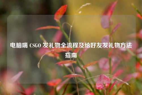 电脑端 CSGO 发礼物全流程及给好友发礼物方法指南