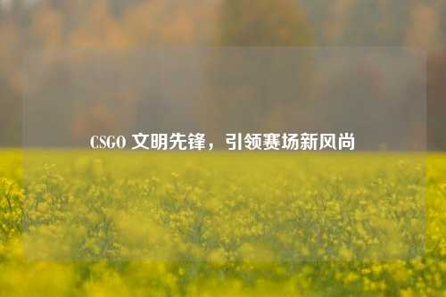 CSGO 文明先锋,引领赛场新风尚