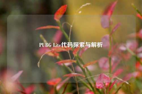 PUBG Lite代码探索与解析