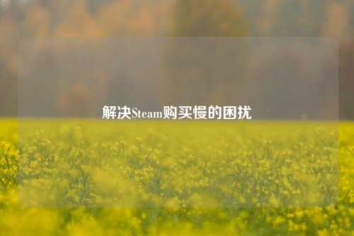 解决Steam购买慢的困扰