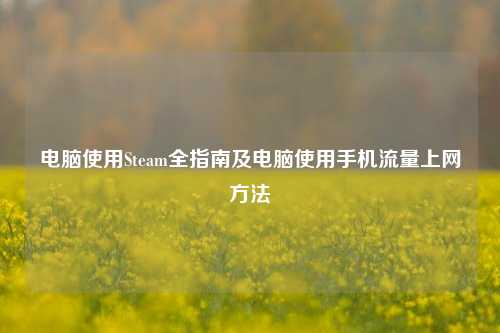 电脑使用Steam全指南及电脑使用手机流量上网方法