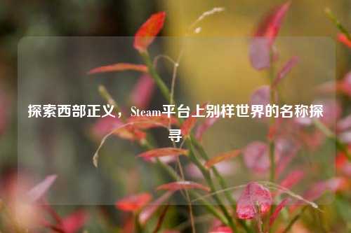 探索西部正义，Steam平台上别样世界的名称探寻