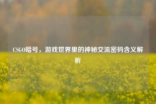 CSGO暗号，游戏世界里的神秘交流密码含义解析