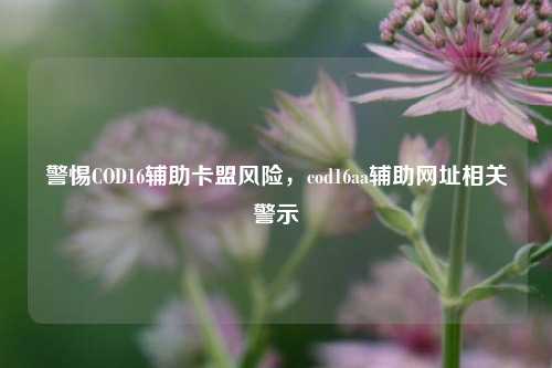 警惕COD16辅助卡盟风险,cod16aa辅助网址相关警示