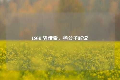CSGO 界传奇，杨公子解说