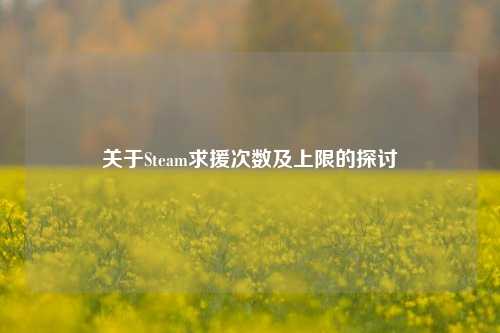关于Steam求援次数及上限的探讨