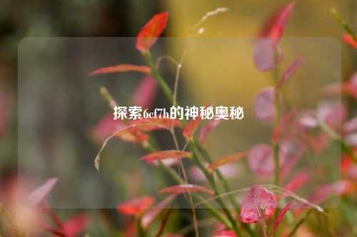 探索6cf7h的神秘奥秘