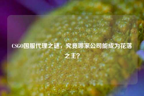 CSGO国服代理之谜，究竟哪家公司能成为花落之主？