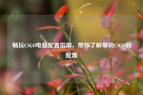 畅玩CSGO电脑配置指南,带你了解带动CSGO的配置