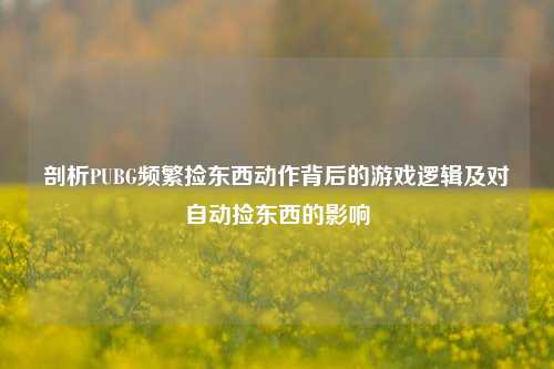 剖析PUBG频繁捡东西动作背后的游戏逻辑及对自动捡东西的影响