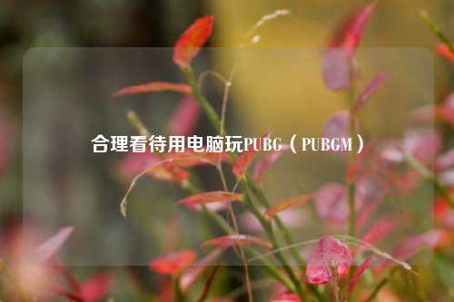 合理看待用电脑玩PUBG（PUBGM）