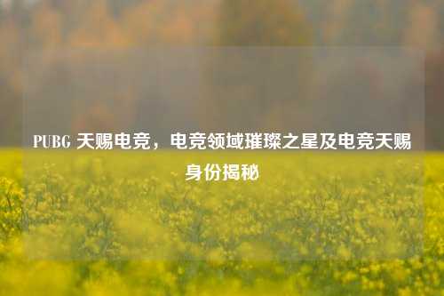 PUBG 天赐电竞,电竞领域璀璨之星及电竞天赐身份揭秘