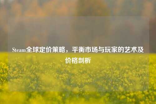 Steam全球定价策略，平衡市场与玩家的艺术及价格剖析