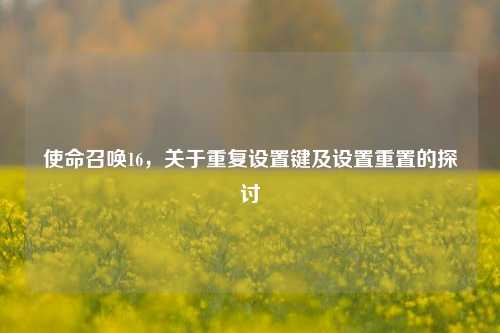 使命召唤16,关于重复设置键及设置重置的探讨