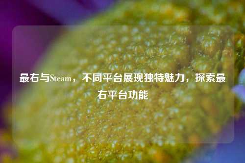 最右与Steam，不同平台展现独特魅力，探索最右平台功能