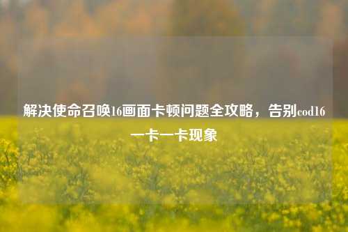 解决使命召唤16画面卡顿问题全攻略，告别cod16一卡一卡现象