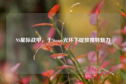 NS星际战甲，于Steam光环下绽放独特魅力