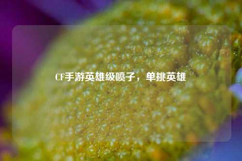 CF手游英雄级喷子，单挑英雄