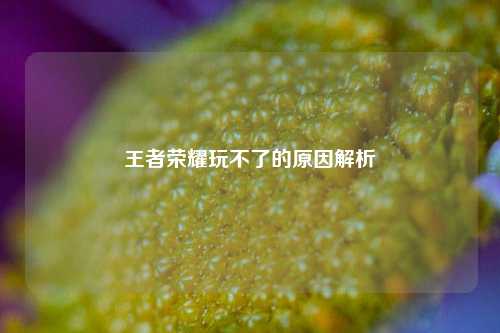 王者荣耀玩不了的原因解析